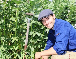 Leaf, Root & Fruit Gardening Services Pic 5