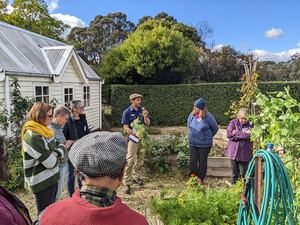 Leaf, Root & Fruit Gardening Services Pic 2