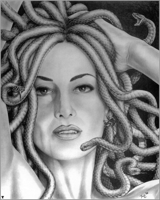 Medusa's Hair Experience Pic 1