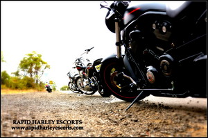 Rapid Harley Escorts Pic 4 - The Line Up shot