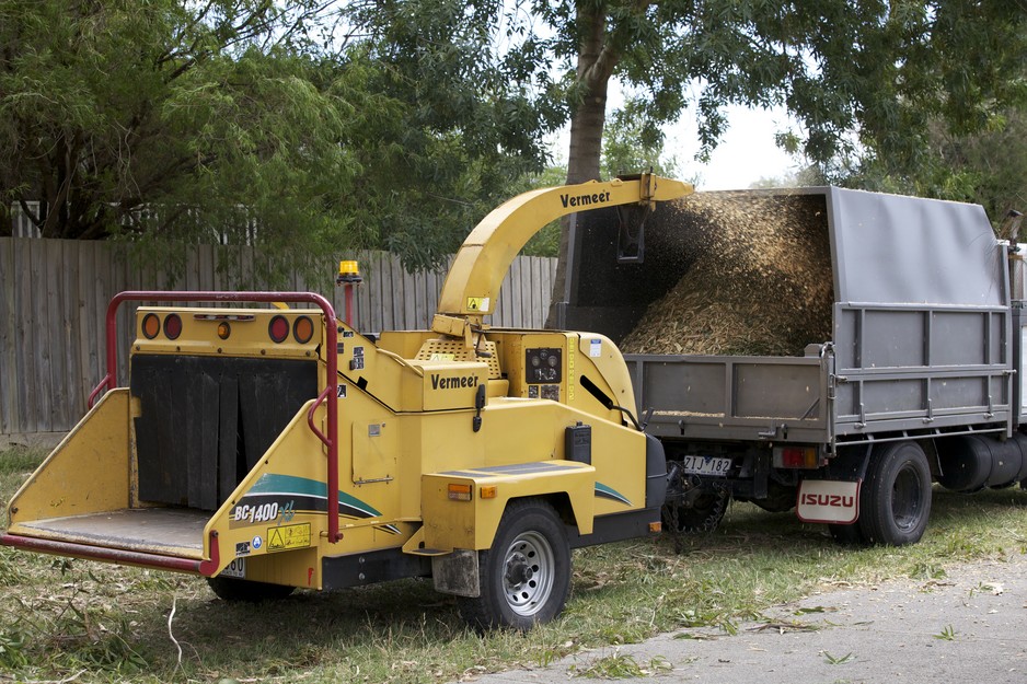 Trim Up Tree Service Pic 1