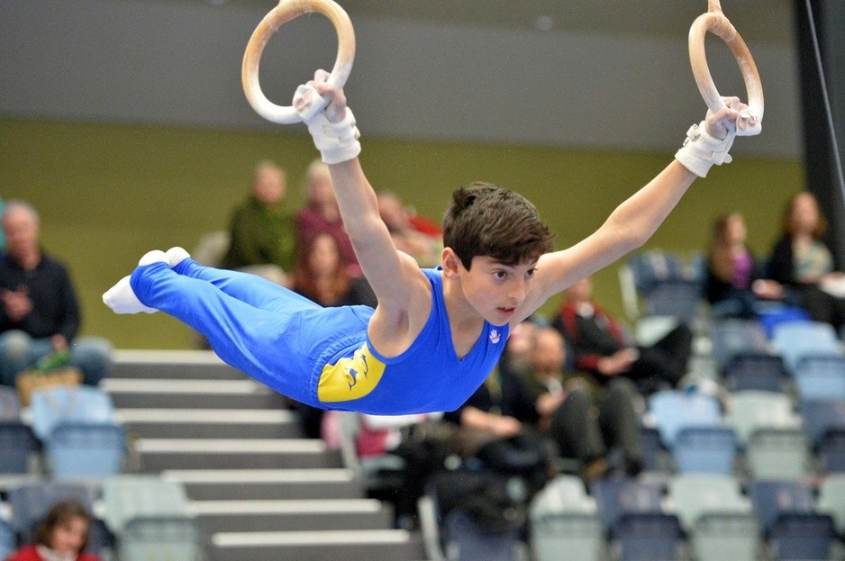 Dolphin Gymnastics Club Pic 1