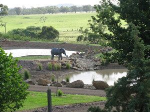 Highfield Estate Pic 5 - Elephant by the lakes