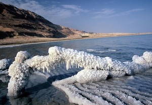 Sigalit Skin Care & Beauty Salon Pic 5 - Dead Sea Mineral