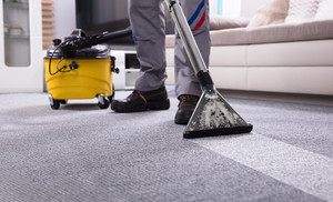 Bright Carpet Cleaning Experts Pic 5