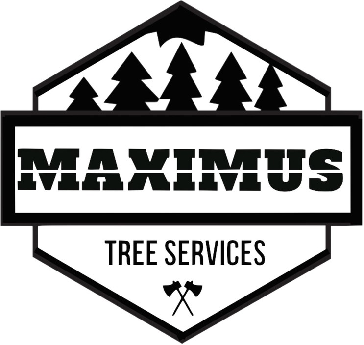 Maximus Tree & Stump Removal Pic 2