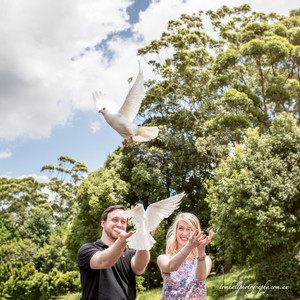 White Wings Dove Service Pic 4