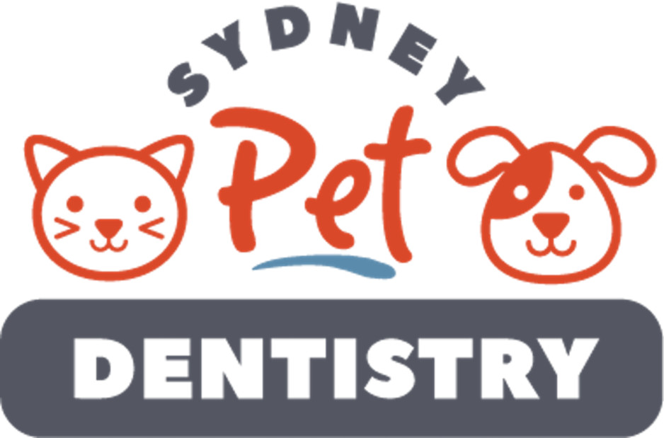 Sydney Pet Dentistry Pic 2