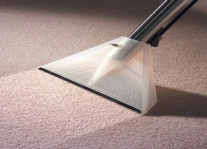 Aii Walk On Dry Carpet Cleaning Pic 2