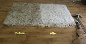 Aii Walk On Dry Carpet Cleaning Pic 4