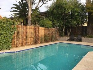 Sydney Bamboo Fencing Pic 3 - Tropical Pool