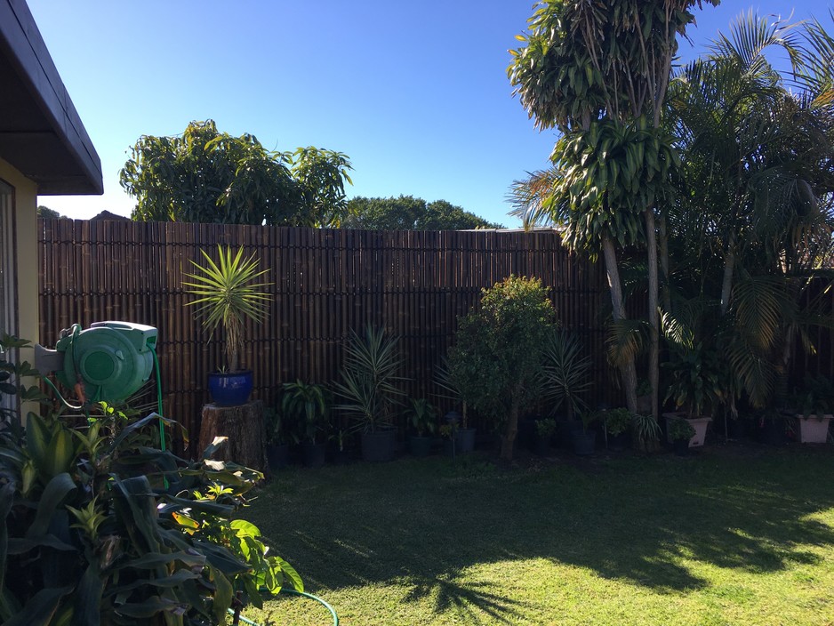 Sydney Bamboo Fencing Pic 1 - Privacy