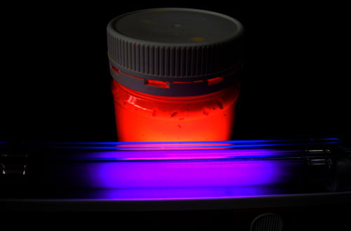 Glow Paint Industries Pic 1 - Glowing paint Under UV Light