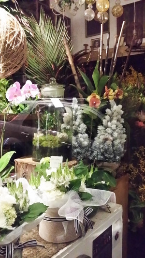 Pollon Flowers Pic 2 - Lovely flowers orchids giftware terrariums