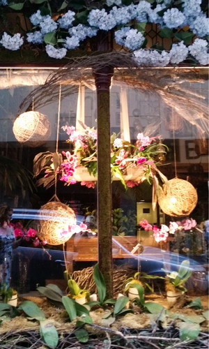 Pollon Flowers Pic 3 - Pollon Flowers beautiful window display