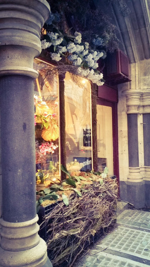 Pollon Flowers Pic 4 - The gorgeous woodland shop front display If this doesnt get your attention nothing will Its positively adorable