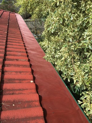 Burleigh Heads Roofing & Maintenance Pic 2 - gutter guard