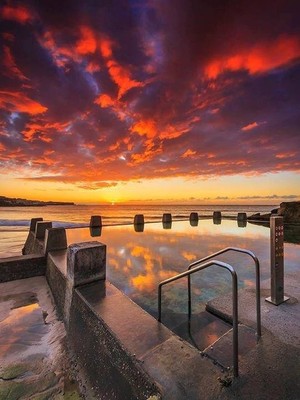 Coogee Stand Up Paddle Hire Pic 3