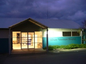 Albany Veterinary Hospital Pic 5