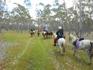 Beryl's Riding School Pic 4 - Her we are on the trail