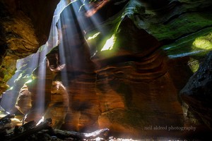 High and Wild Mountain Adventures Pic 5 - Blue Mountains Canyon