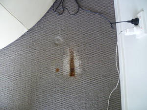 Lindette Carpet Services Pic 2 - Carpet Iron Burn