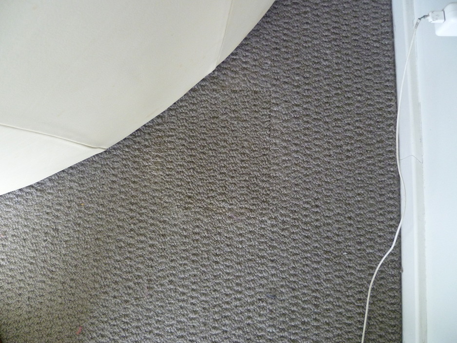 Lindette Carpet Services Pic 1 - Carpet Iron Burn Repair