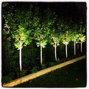 CDR Electrical Pic 4 - Garden lighting