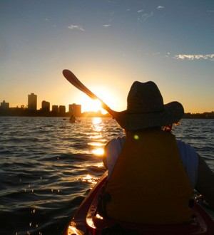 Water Wanderers Kayak Tours Pic 5