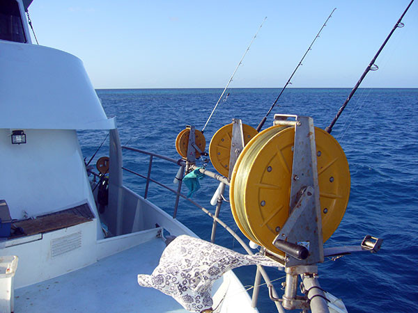 Kona Fishing & Cruising Charters Pic 1