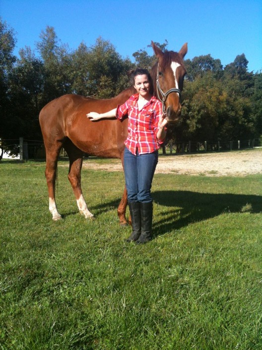 Champion Equine Therapy Pic 1