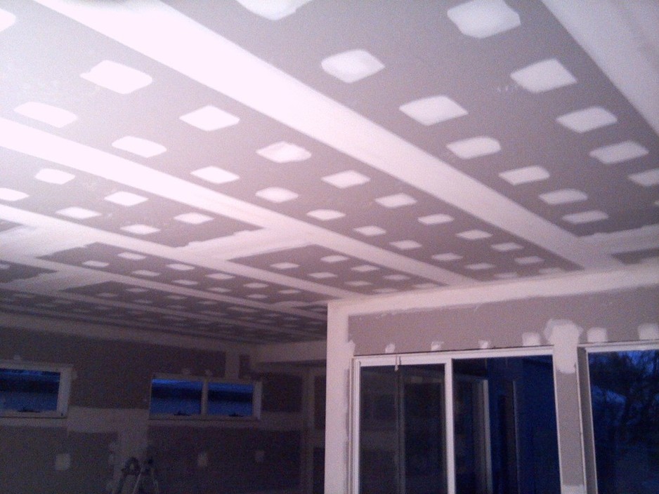 P.S Ceilings & Walls Pic 1