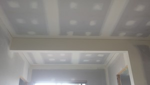 P.S Ceilings & Walls Pic 5