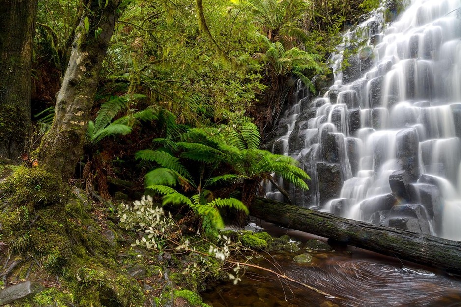 Casey Smith Photography In Smithton, Tas, Art Galleries - Truelocal