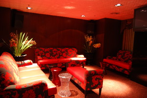 The Haymarket Hotel Pic 5 - Martini Bar Lounge