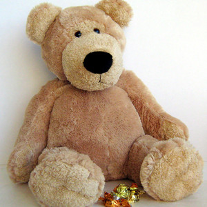 Clients4Life Gift Hampers Online Pic 2 - mookie bear gift for you