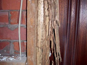 Murray Pest Control Pic 4 - Termite damage to a door frame