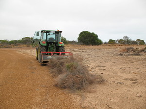 Parkfalls Mowing Pic 4 - Mulching Wattles Shubs