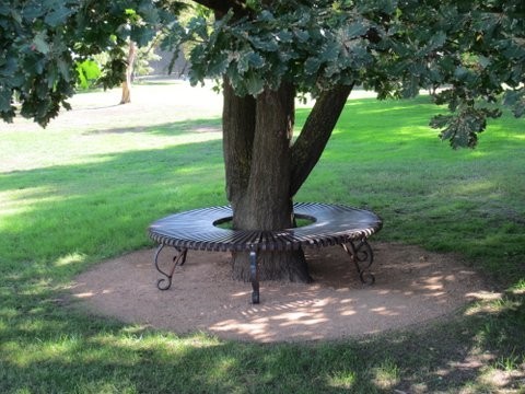 Farmweld Pic 1 - Large tree bench with wrought iron legs