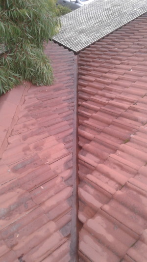 Paul's Mowing Home and Garden Services Pic 4 - Gutters After