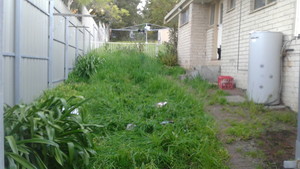 Paul's Mowing Home and Garden Services Pic 5 - Yard Clean up Before