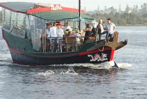 Junk Cruises- Chinese Junk Pic 2 - Dolphin Spotting