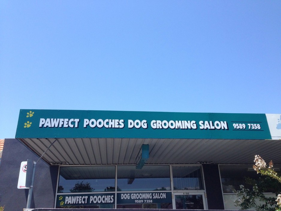 Paw sales perfect salon