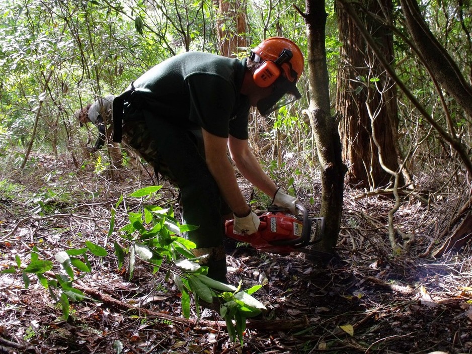 Environmental Restorations Pic 1 - Remote Area Work