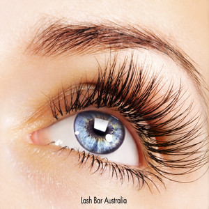 Lash Bar Australia Pic 2 - Picture 1