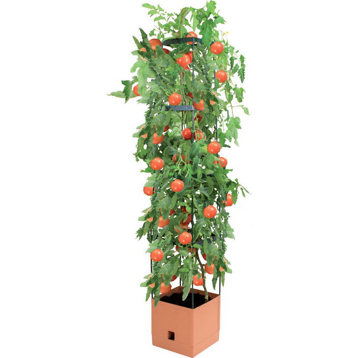 Moss Products Pic 1 - Moss Tomato Tower