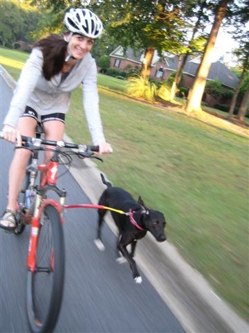 Sport4dogs Pic 1 - Dog Cycling