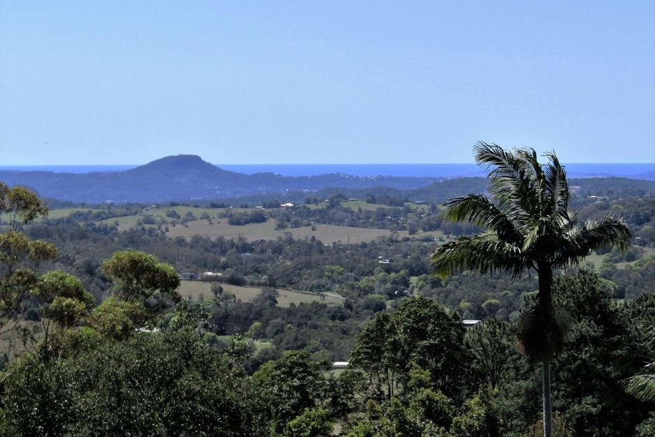 Budget Hinterland Tours Pic 1 - Sunshine Coast Hinterland