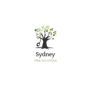 Sydney Tree Solutions Pic 1