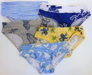 Lil Bumkins Pic 2 - Boys size 12 undies 5 pk 1500